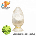 Streptococcus Thermophilus Lactobacillus Pure Probiotics Powder Benefits